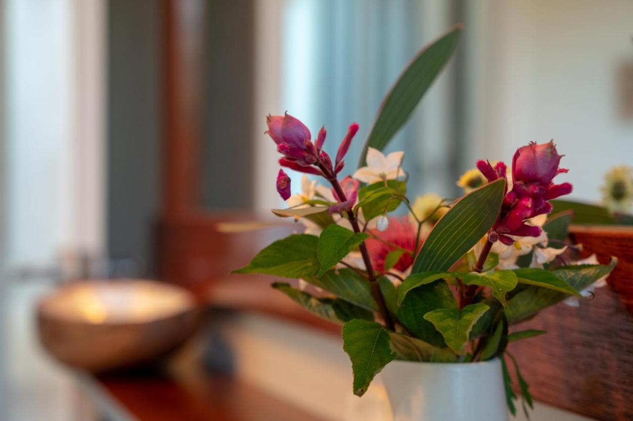 سانت هيلينز Tully Cottage B&B المظهر الخارجي الصورة